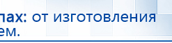 СКЭНАР-1-НТ (исполнение 01 VO) Скэнар Мастер купить в Черногорске, Аппараты Скэнар купить в Черногорске, Медицинский интернет магазин - denaskardio.ru